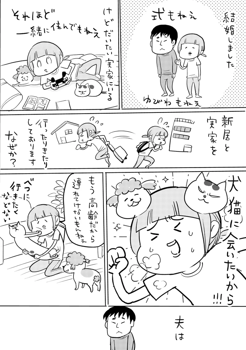 決死の覚悟で言ったのに。結婚したけど「実家でペットの傍にいたい」と夫に言ってみた。