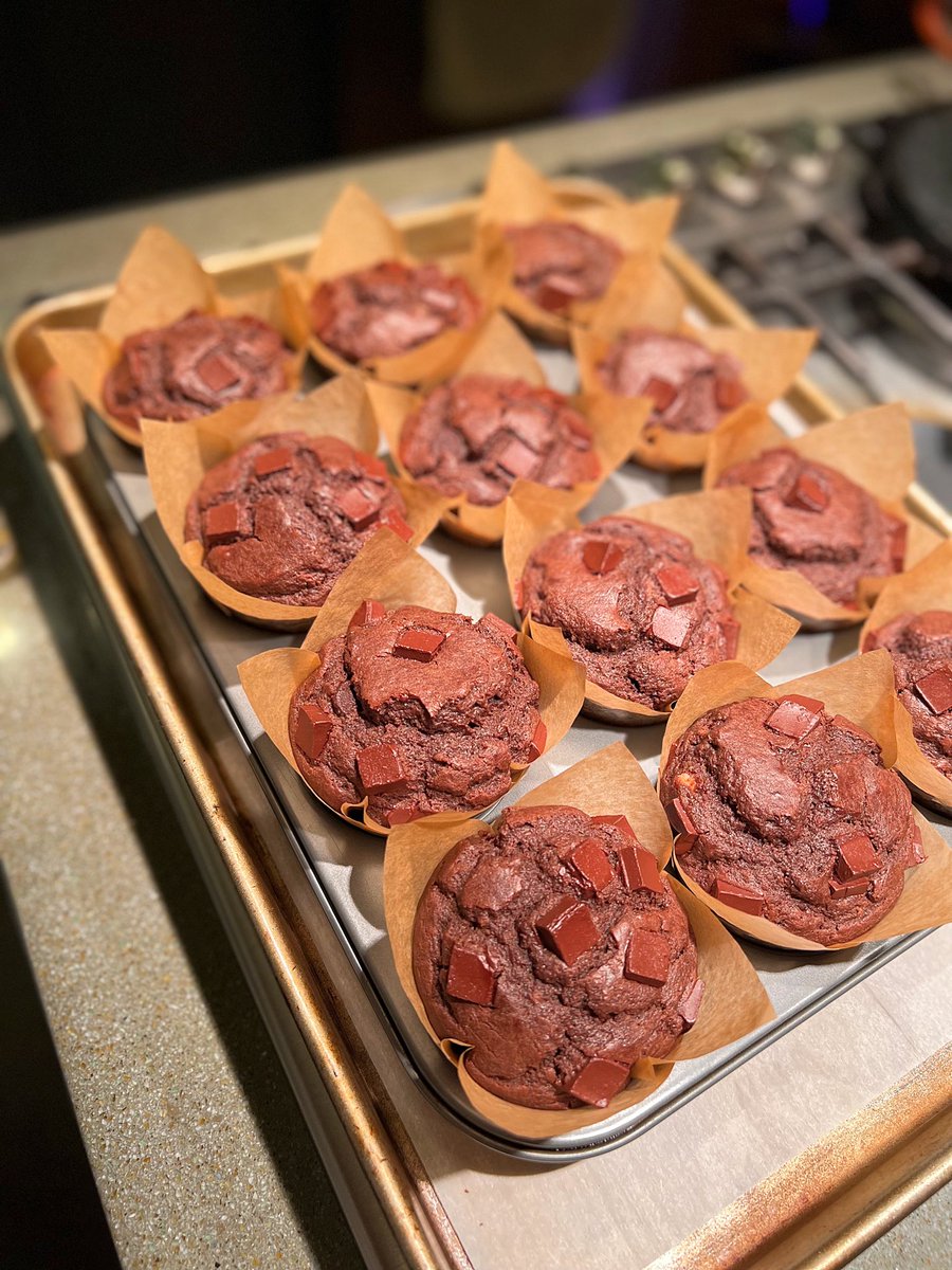 AlanaLand's tweet photo. @SalteryLake is taking a nap. But when he wakes up I’ve got some freshly baked double chocolate chip muffins for him :) #sweetsformysweets 🍫 https://t.co/tWs4fVvVpi