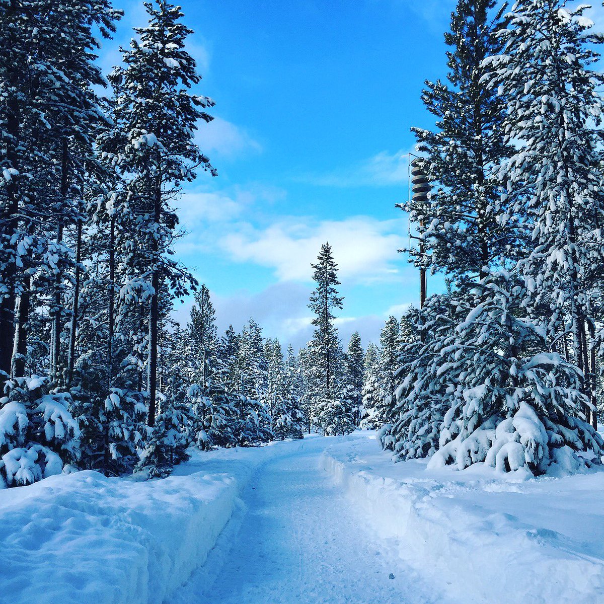 Good morning Twitter-Friends…Lovely Thursday☃️❄️💦☕️ #ThursdayThoughts ☃️ #HappyHolidays ❄️ #CoffeeLovers ☕️ #WINTER 🌧 #StaySafeStayHealthy 💙 #BePositive 🙋‍♀️