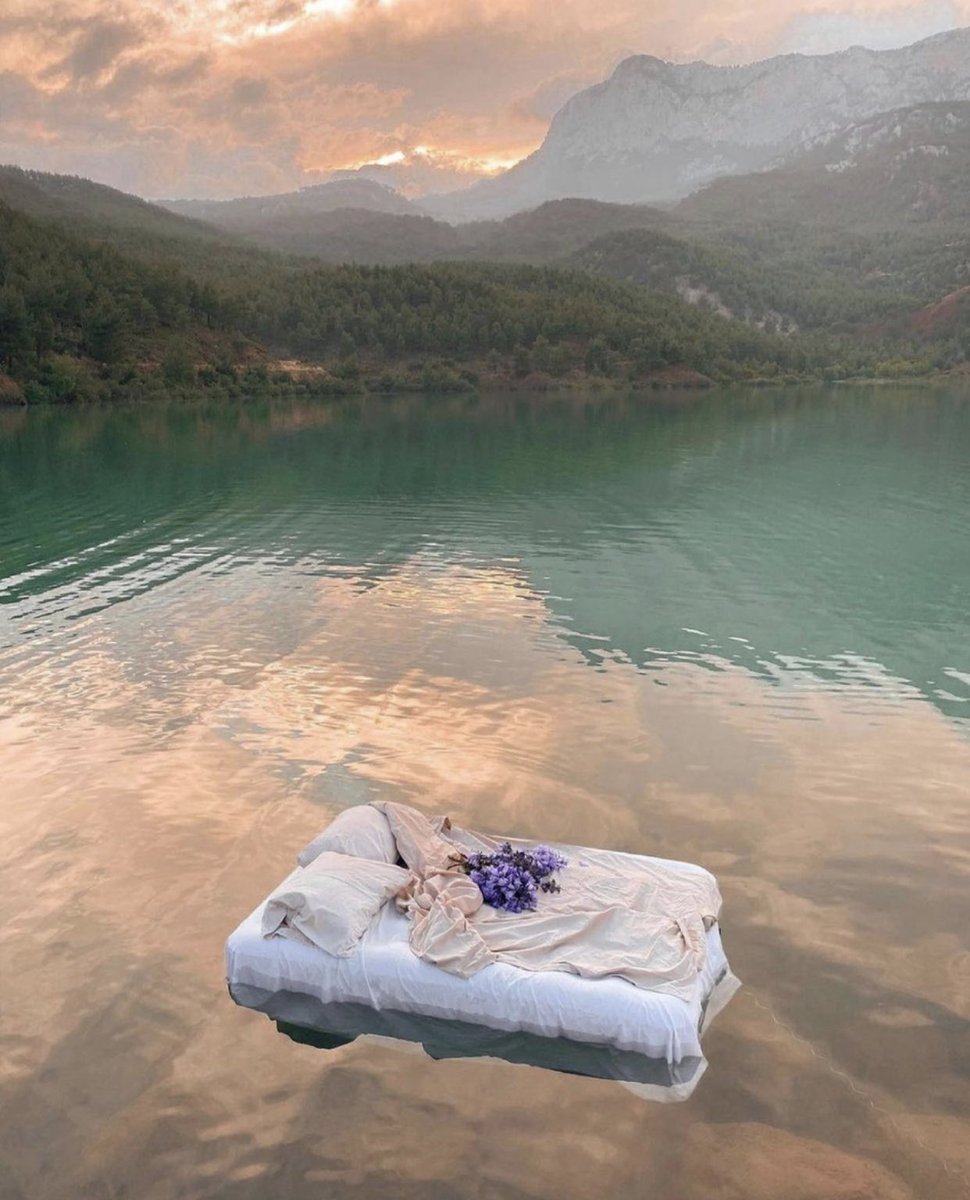 Jamie Luner tweet media