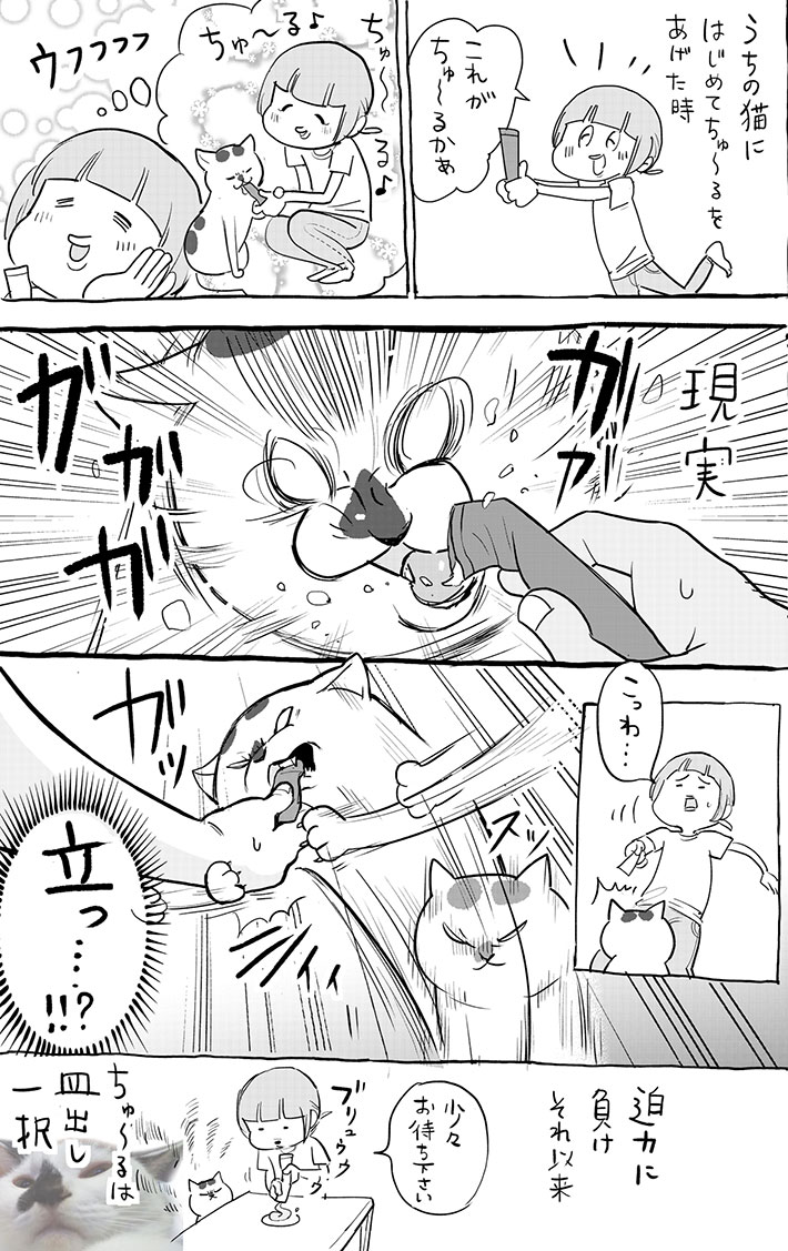 はじめて猫に『CIAO ちゅ～る』をあげた飼い主 予想外な迫力に負けた結果? https://t.co/kNXvAFEXkT @grapeejpより 