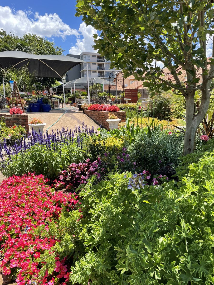 EckardsGarden's tweet photo. The textures and colours of our famous circle bed are really looking gorgeous this week. And our clusters of bulbs are breaking through which is so exciting! 🌸  #eckardsgarden #eckardscircle https://t.co/GB4PbWGG3b