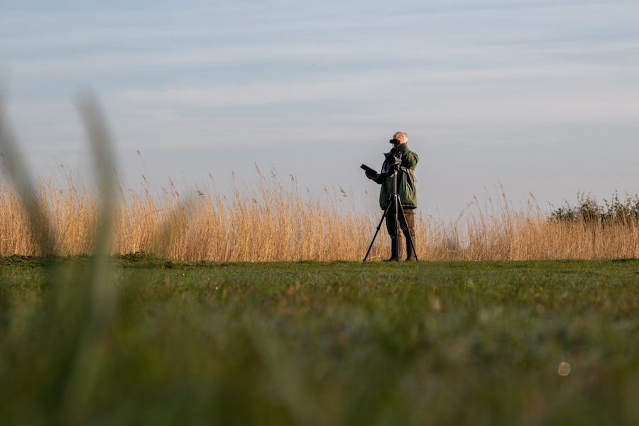staatsbosbeheer's tweet photo. We hebben #vacatures voor een 🌳 boswachter met specialisatie publiek en boa in Zeeland-Zuid en een 🌳 projectmedewerker in Friesland. Bekijk alle vacatures ➡️ https://t.co/o1ZZLbnIMo https://t.co/M0p8rpmlA0