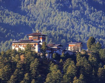 The Buddhist Society tweet media