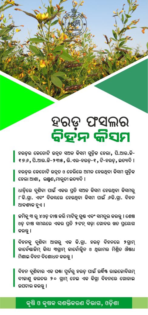 କୃଷି ବିଭାଗ, ଓଡ଼ିଶା tweet media