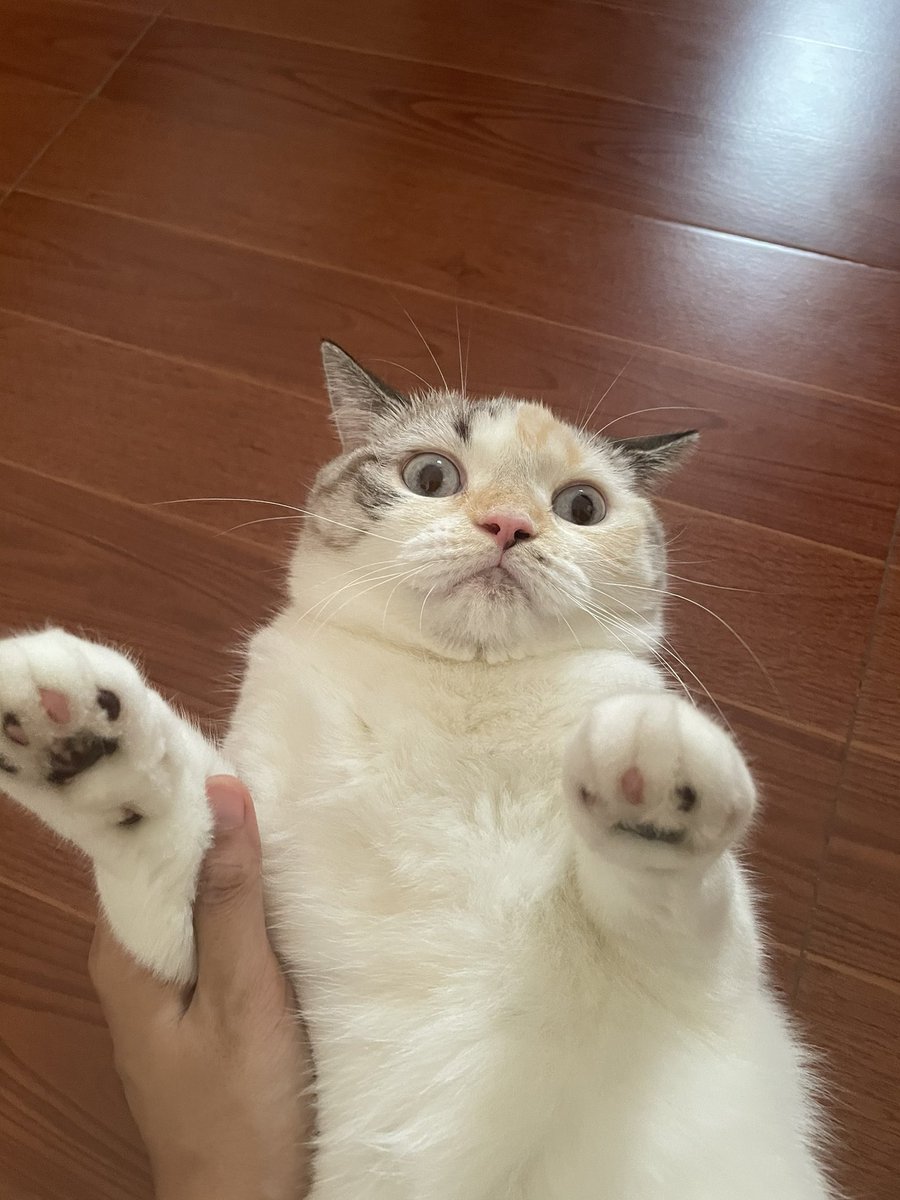 บีมกับน้องๆ tweet media