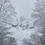 目の前に広がる銀世界!？真冬の五箇山が美しい!