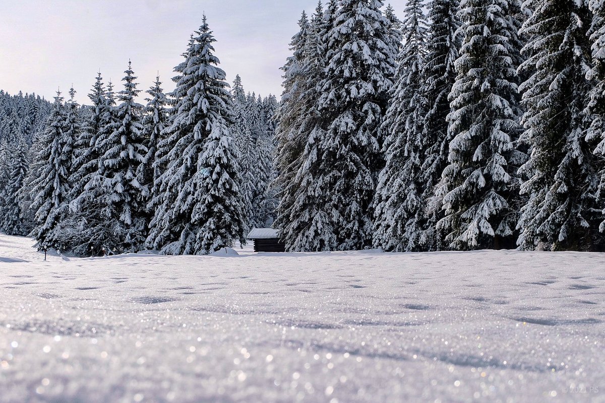 Petra_C_M_P's tweet image. Träume.
So wichtig, auch bei Tag.

Guten Morgen, ihr Lieben!

#SnowContent #SnowHour