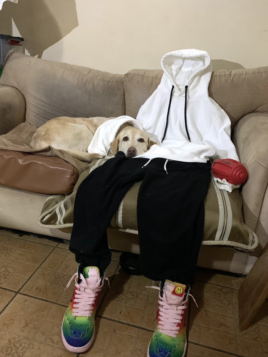 Russhut_'s tweet photo. Just wanted to show the world, how cute my dog looks with her invisible friend, they are always together!🐶🐶

@invsblefriends @MotionMarkus
@RNDMCHARACTERS @nelsg_
#invsblefriends https://t.co/64MA1sCMnq