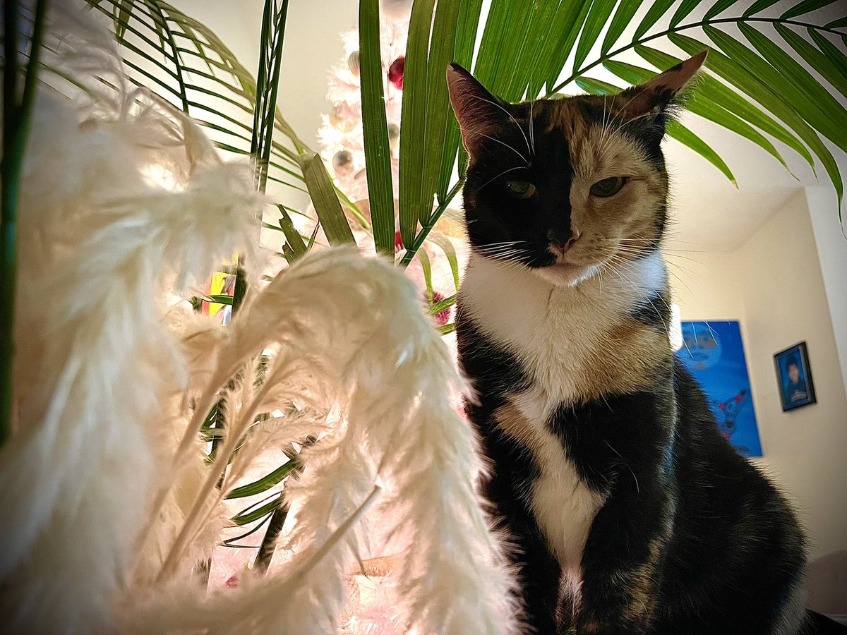 That hipster matriarch energy