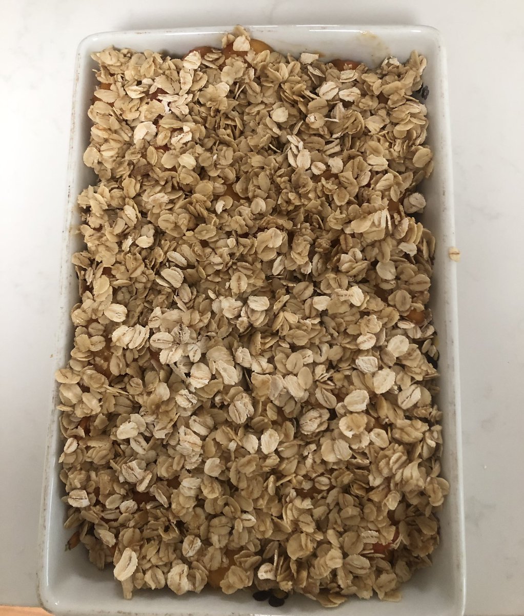 avenueminga's tweet photo. Bumper apricot crop but gotta be quick to harvest before the birds
Apricot crumble coming up …
#justaddicecream https://t.co/WTfZ63760B