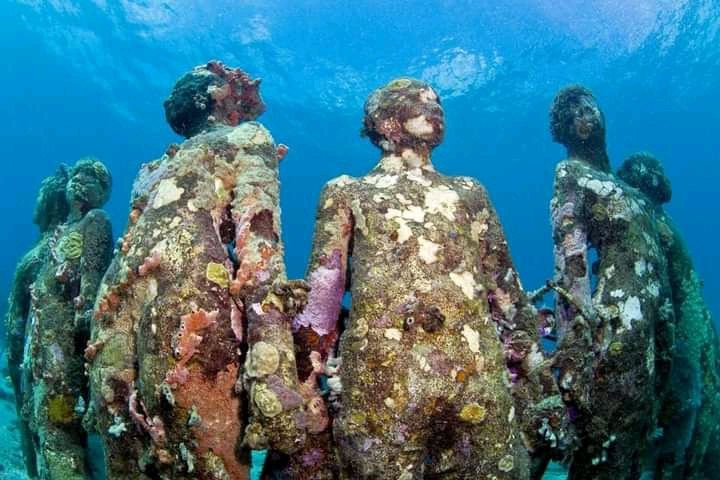 stevemens6's tweet photo. African History
These underwater sculptures are located in the Caribbean sea along the of Grenada. It honors nearly two million African slaves who were thrown overboard from slave ships during the Transatlantic Slave Trade. https://t.co/eJ0jiLBv3z