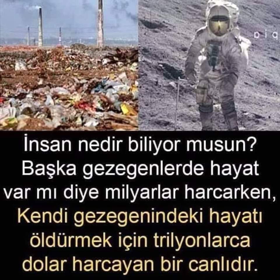 Yalçın Kırkoç (@yalcinkirkoc) on Twitter photo 