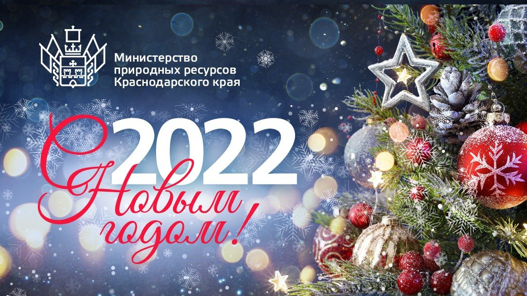 mpr_kk tweet picture