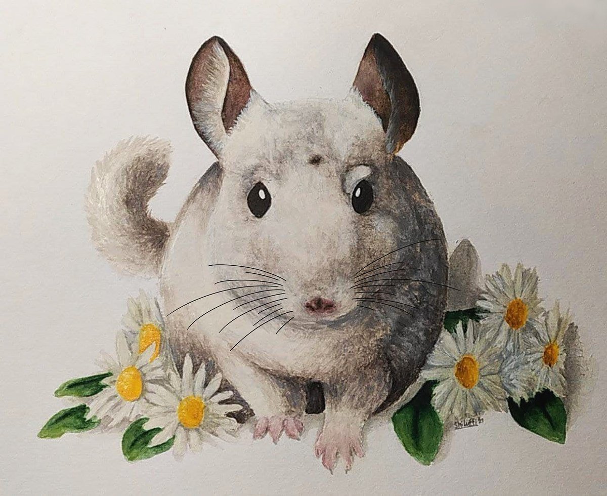 stupid.png tweet media