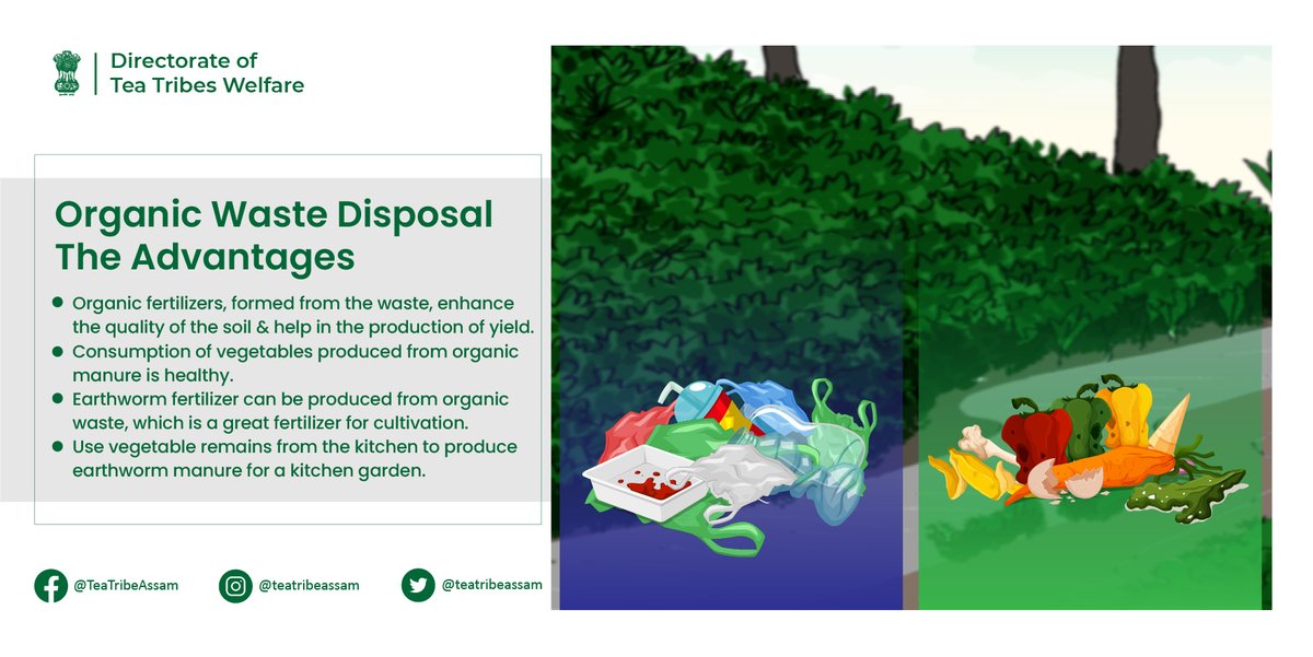 teatribeassam's tweet photo. Separating organic waste from other kind of waste has many advantages. Dispose organic and inorganic waste carefully. Let us have a look at these advantages.

#Assam #TeaTribeAssam #ODF #ODFPlus #WetWaste #DryWaste #organicmanure #cleanliness #organicwaste #wastemanagement https://t.co/qJ08DvEhvn