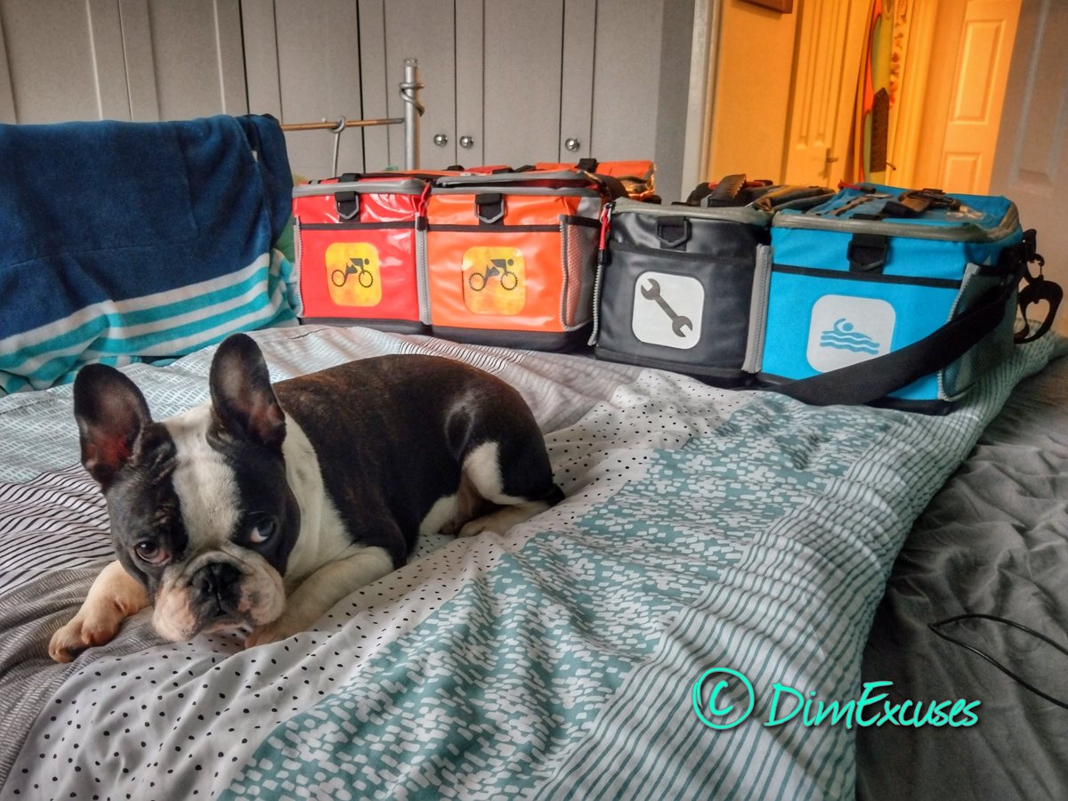 DimExcuses's tweet photo. I am now up to 4 @KitBrix . Seriously organised kit and a seriously unorganised dog. #KitBrix https://t.co/M11EakSDwY
