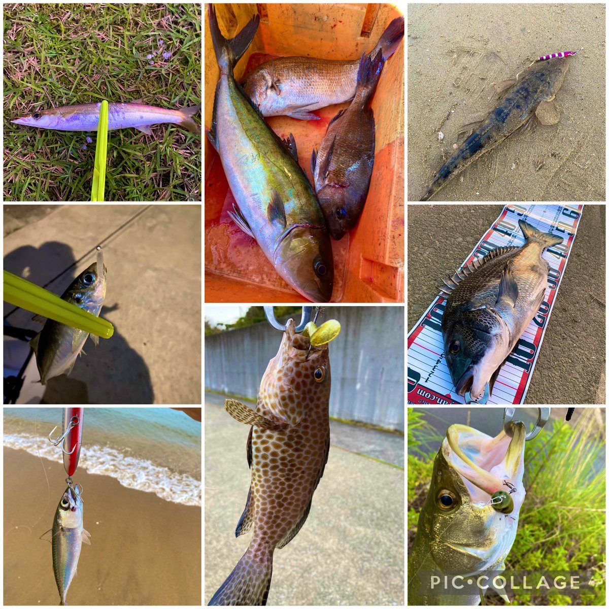 キーさん tweet media