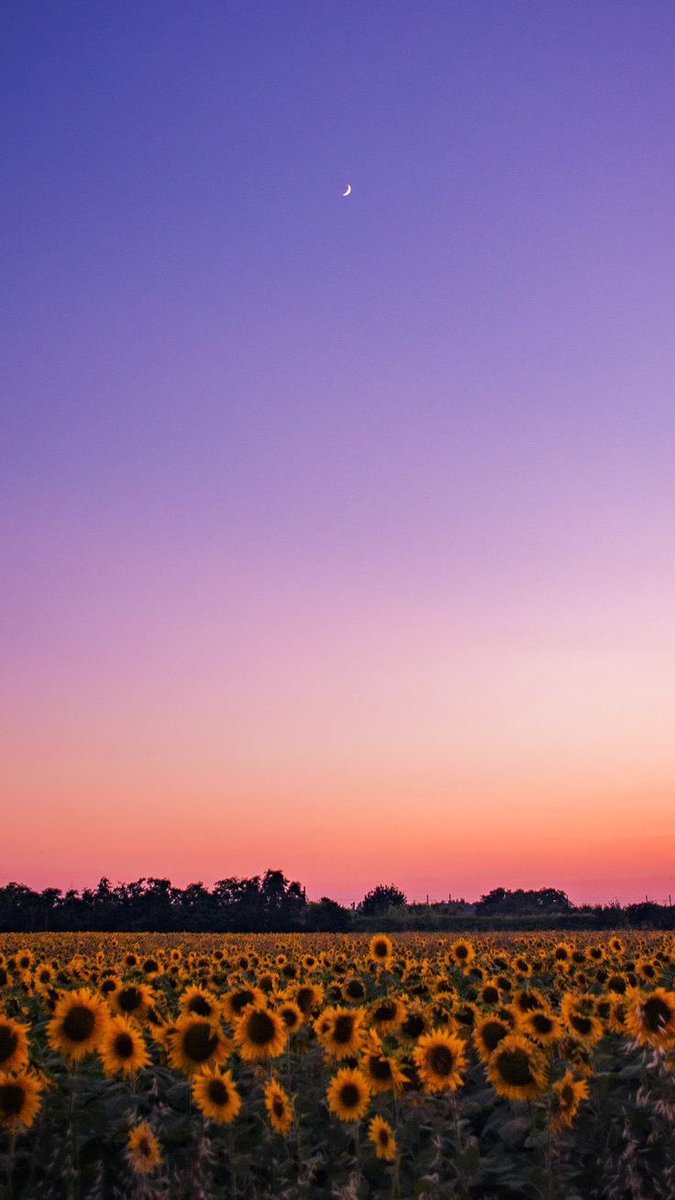 𝗔𝗿𝘁𝗶𝘀𝘁𝗶𝗰 ❦ tweet media