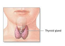 ThyroidTherapy's tweet photo. Global Guidelines for Managing #Hypo- and #Hyperparathyroidism
for more details:https://t.co/qAIou4YOq8 https://t.co/PNGXkwh4qJ