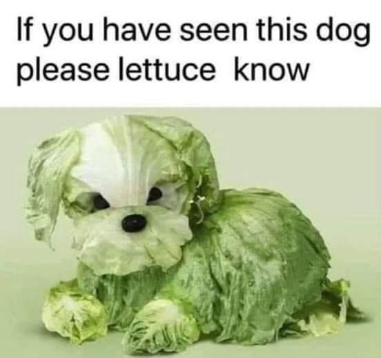 SafeGrow's tweet image. Too funny!