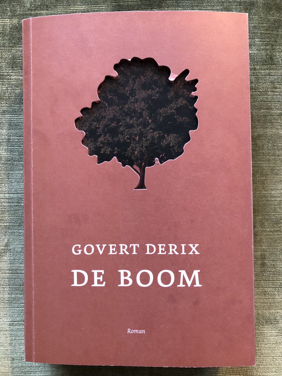 COostwegel's tweet photo. Het zal mij niet verbazen als dit het #BesteBoek van 2022 zal worden @lanskroon @ArthurJapin @GovertDerix #DeBoom #Magonia Heel indrukwekkend ! https://t.co/nNYQazOmnC
