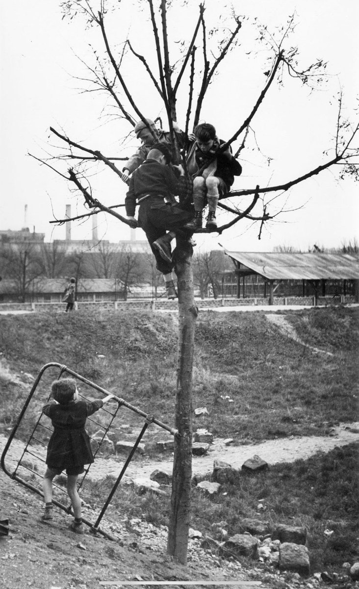 marcatplay's tweet photo. One of my personal influencers and favourite photographers has left us. Vale Sabine Weiss (1924-2021). Recorder of children’s every day lives.

#play #playing #playwork #playhistory #children #socialhistory #photography #sabineweiss https://t.co/MgdeBEZO0c