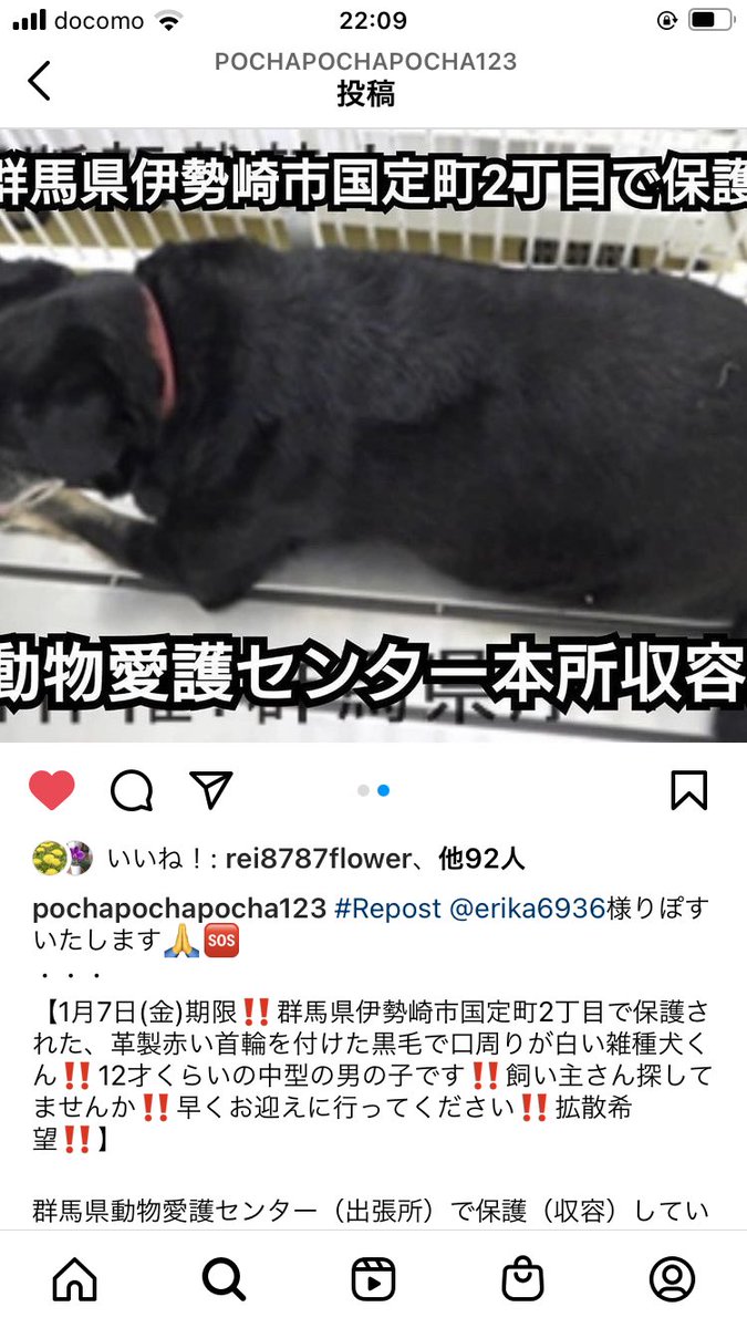 見つかりました 兵庫県尼崎市の迷子犬 Xdngpx1xhzvhfhm Twitter