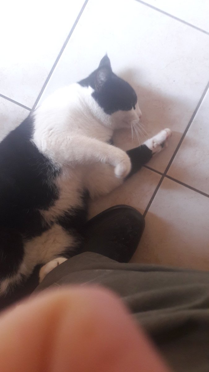 Simone45531614's tweet photo. Ciccio https://t.co/wckrUrqtcw