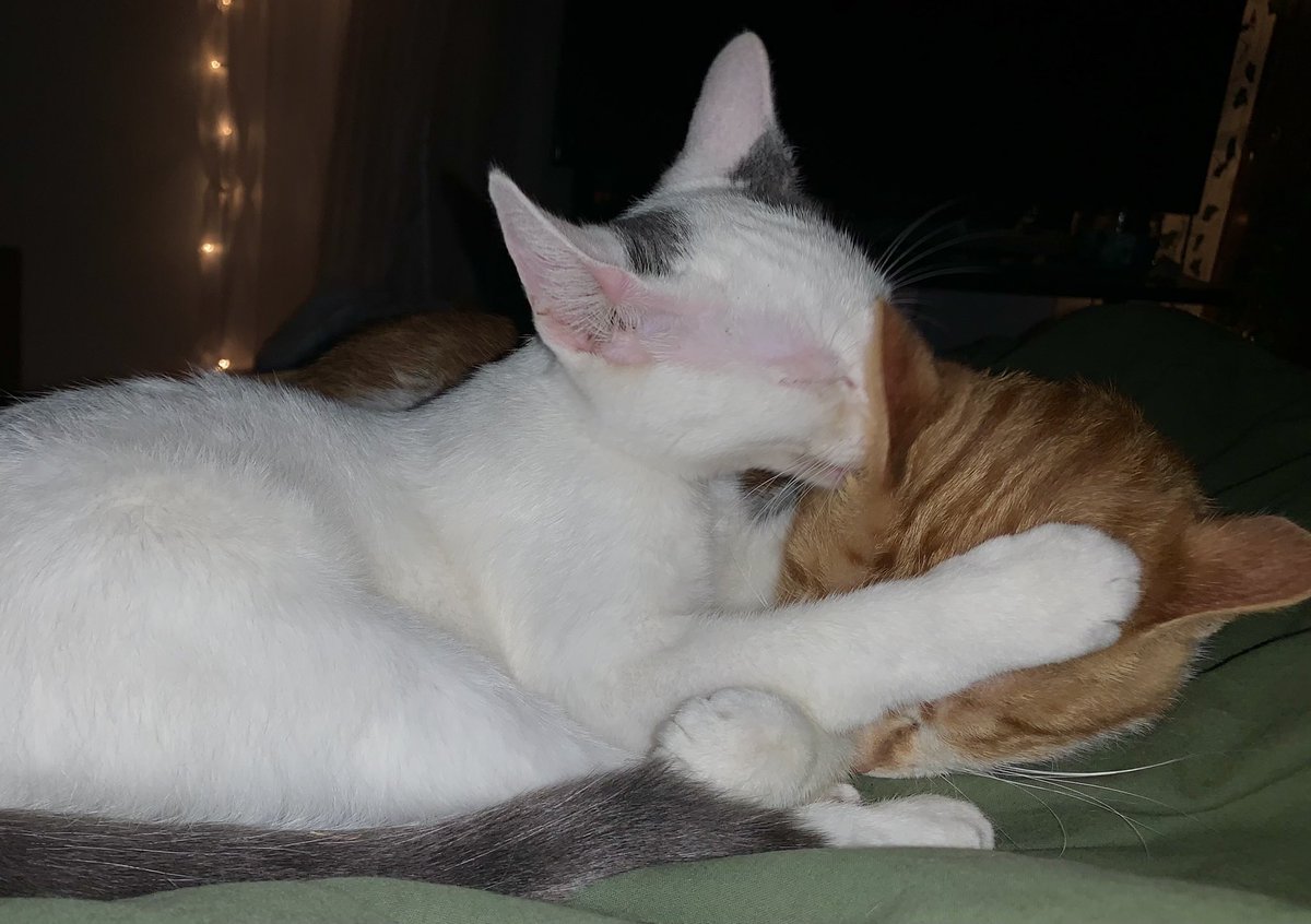 JaadeHatcher's tweet image. 