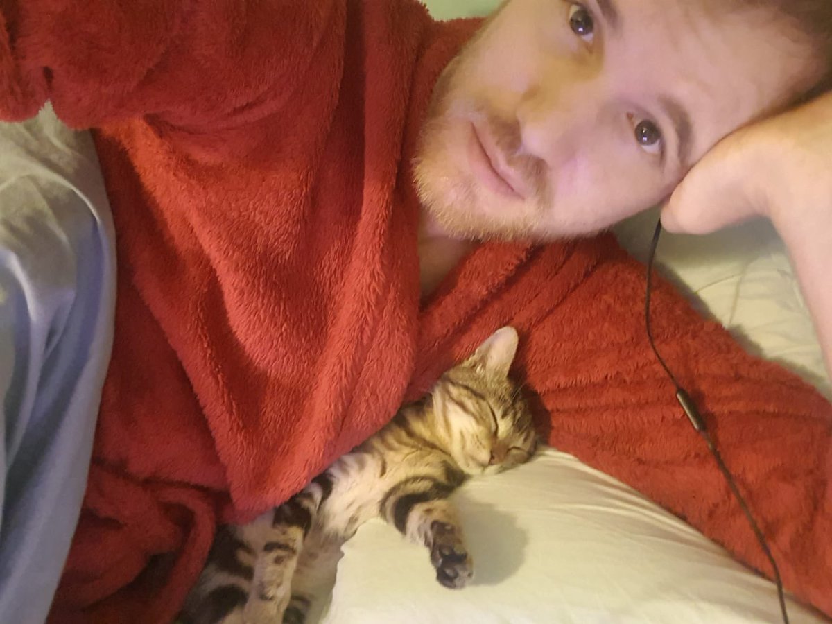LilMeAndMyCat's tweet photo. Merry Christmas and happy new year from Mischa and me 😚 #CatsOfTwitter #kitten #MerryXmas 🌈 https://t.co/voZjOQKN1O