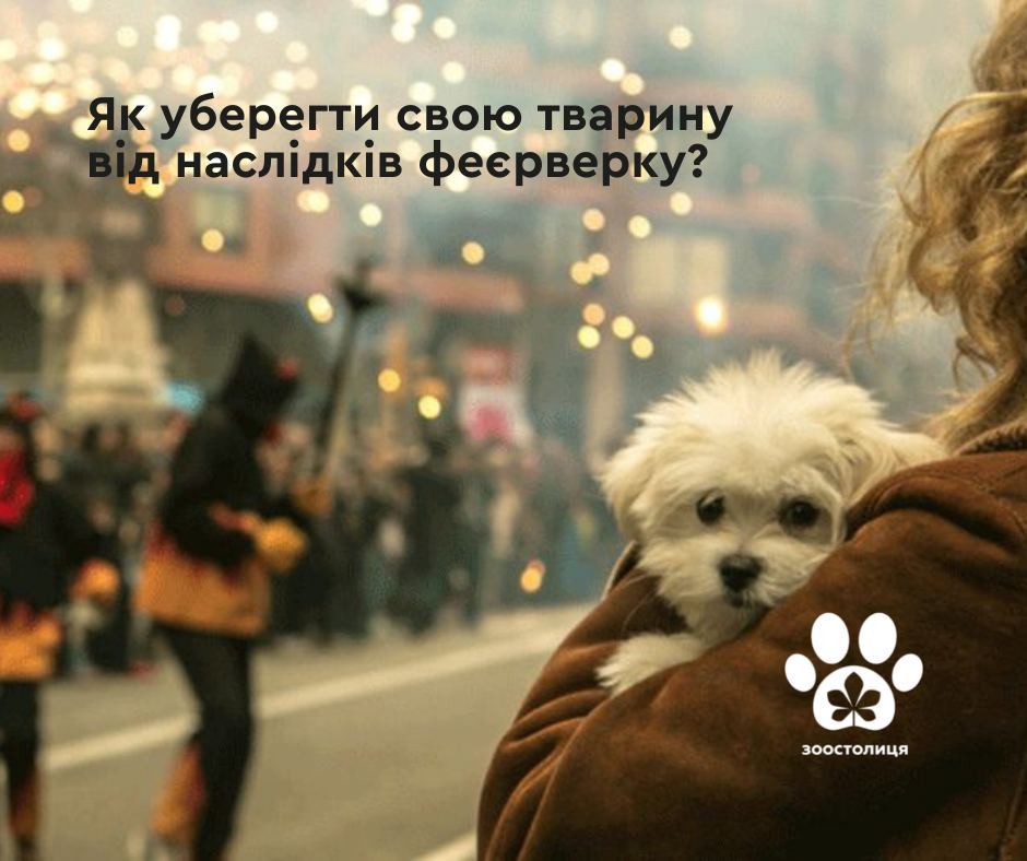 ZooKyiv's tweet photo. 💥Феєрверки часто є атрибутом новорічних свят, але петарди і феєрверки можуть стати причиною каліцтва або навіть смерті тварини. Тож як уберегти свою тварину від наслідків феєрверку?
Читати: https://t.co/k5Ke5iW6G7 https://t.co/thFfXbDEpt
