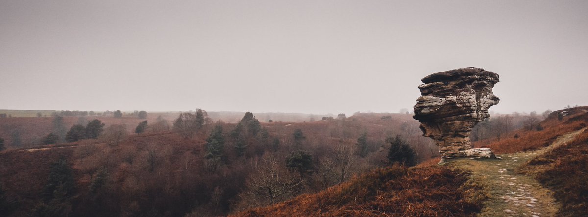 CliffHolidays's tweet photo. We went on a "blow the cobwebs away" walk up to @nationaltrust Bridestones on the edge of Dalby Forest yesterday.
Being on the edge of North York Moors National Park there are plenty of walks either direct from our cottages or a short drive away.
#walkshire #walkerfriendly https://t.co/ZPzsqOmeef