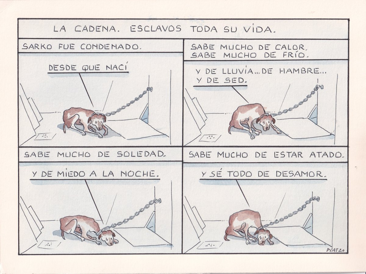 pacocatt's tweet photo. Mi viñeta de hoy jueves 30 de diciembre de 2021. Rem.
La cadena. https://t.co/XAGzV166lZ