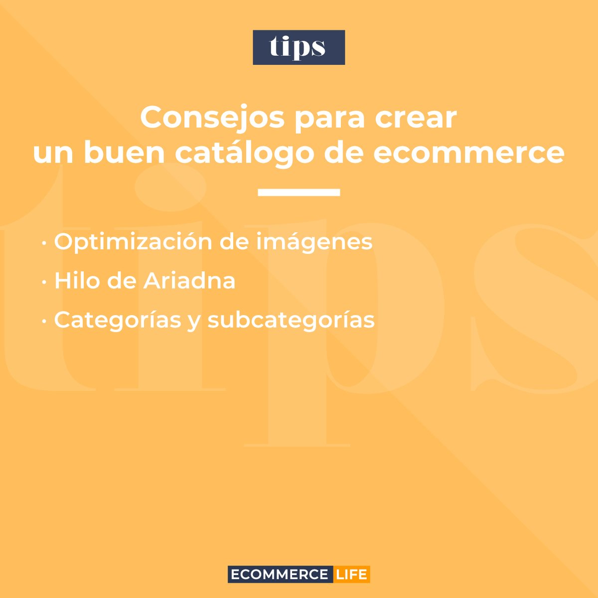 ecommerce_life's tweet photo. ☝️ La experiencia de usuario es clave para que tu #tiendaonline tenga éxito.

En el artículo de nuestro blog, te contamos por qué trabajar tu catálogo de productos te acerca más al triunfo 🚀

👀 https://t.co/QKTIirLrDf https://t.co/pljCKugeqk