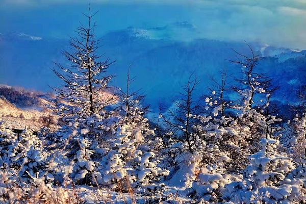 ExploreGansu's tweet photo. ❄️🤔Has it snowed in your hometown lately?
⛄👀Lianhuatai Scenic Area in #Pingliang, #Gansu province has turned into a snow-white fairytale world overnight after a heavy snowfall. 📷Photographers all over the place. #LovingGansu #CharmingGansu #winterinGansu https://t.co/q36rGnQNnV