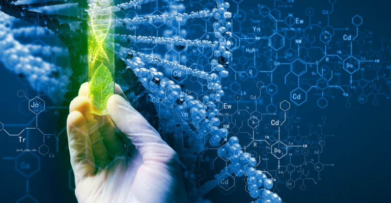 OfAdvances's tweet photo. #Agriculturebiotechnology
https://t.co/kBXYLKtKx3
#Alsb https://t.co/reBfX60KyM
