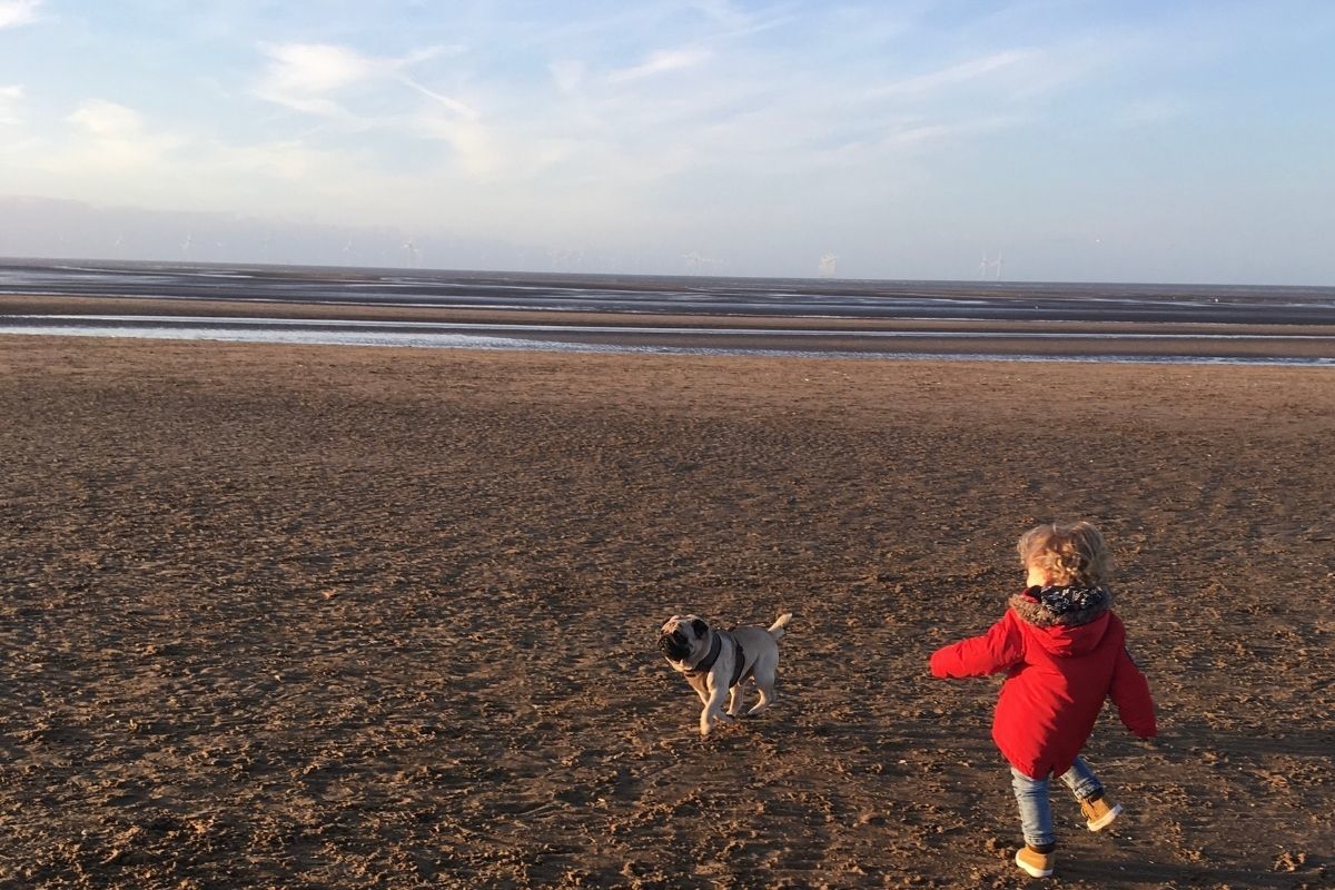 GetOutKids's tweet photo. 6 Simple Outdoor Activities For Kids During Winter https://t.co/P4oweP350C #GetOutside #outdoors #outdoorfamilies #parenting #kids @OSleisure https://t.co/9wtFfQz7sh