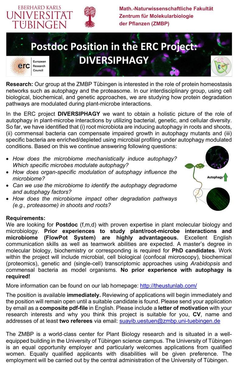 Our group is searching for a #Postdoc to continue our  <a href="/ERC_Research/">European Research Council (ERC)</a> #DIVERSIPHAGY project. We are searching for a candidate with experience in plant #microbiome research. You'll find more info in the ad and on our homepage theustunlab.com #PlantSciJobs #PlantSci #ERCStG