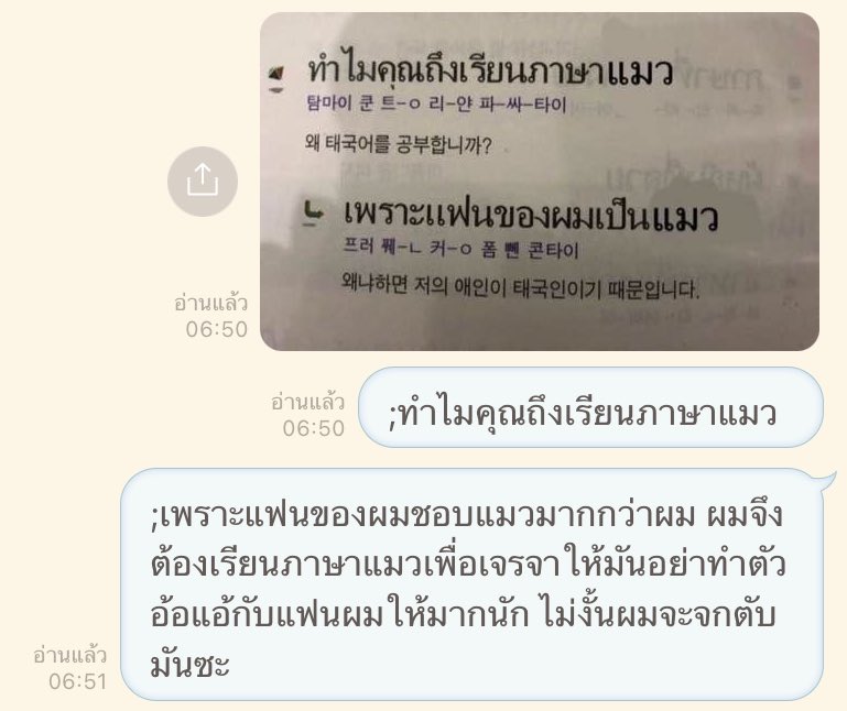 ทำไมคุณถึงเรียนภาษาแมว