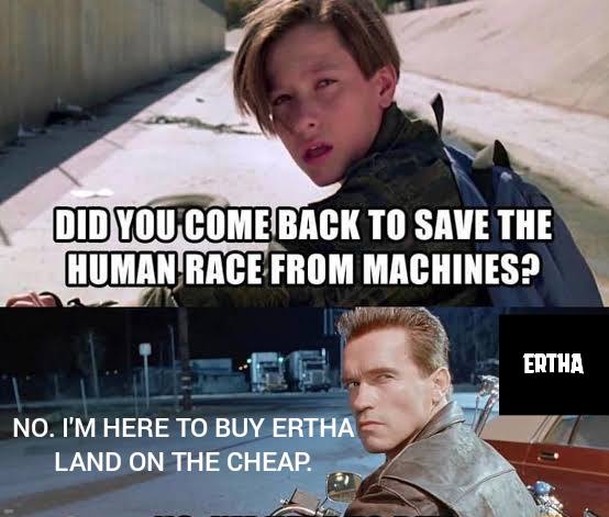 cabktori's tweet photo. #ErthaEvolves #Airdrop @Erthagame @metastrikehq https://t.co/owftV0WvPs