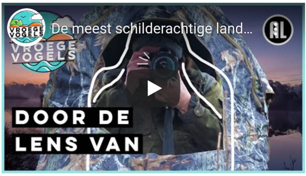 Rob Rokven tweet media