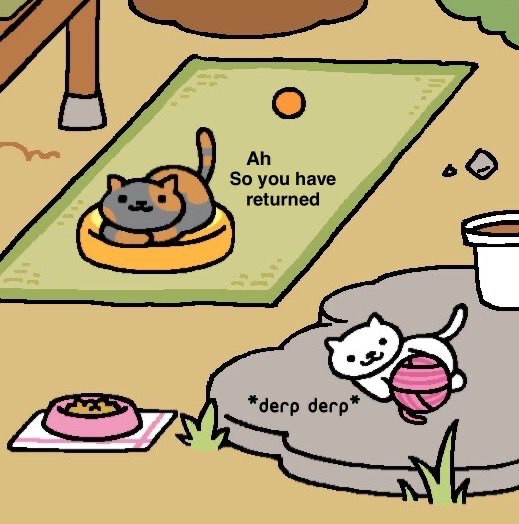 MrPukey's tweet photo. @Agent_3cat Hehe embrace the cat https://t.co/nB9L1tpOs4