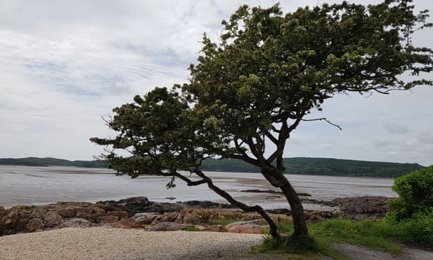 International Tree Foundation tweet media