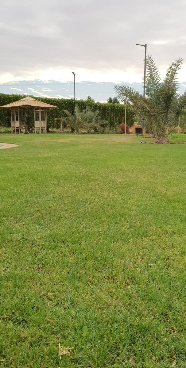AMalolyan's tweet photo. التميّز لا يأتي إليك
بل أنت من يصنعه 
بقرار أو سلوك أو تخطيط 
فمصنع التميز العقل...
ووقوده الصبر... https://t.co/40sAWRpNAd