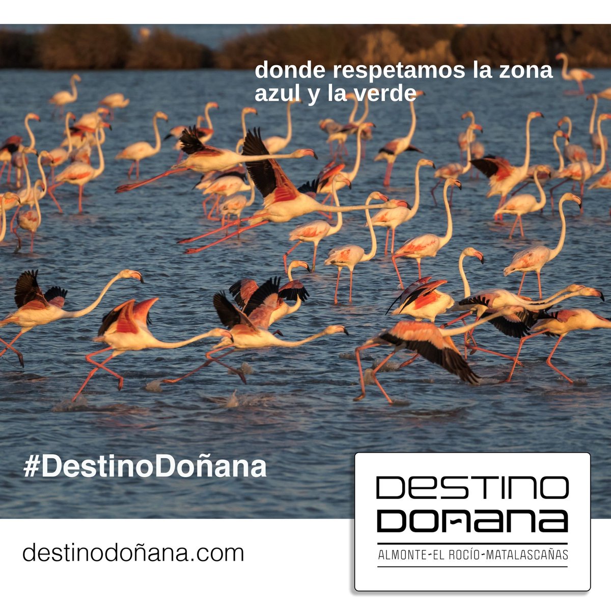 Asomarse a los atardeceres de #Doñana🌾 en estos días de invierno 🧣 nos regala estampas de ensueño 😍. Somos tu destino.

#HuelvaElevaTusSentidos #SienteHuelva #DestinoDoñana #Almonte #ElRocio #Matalascañas