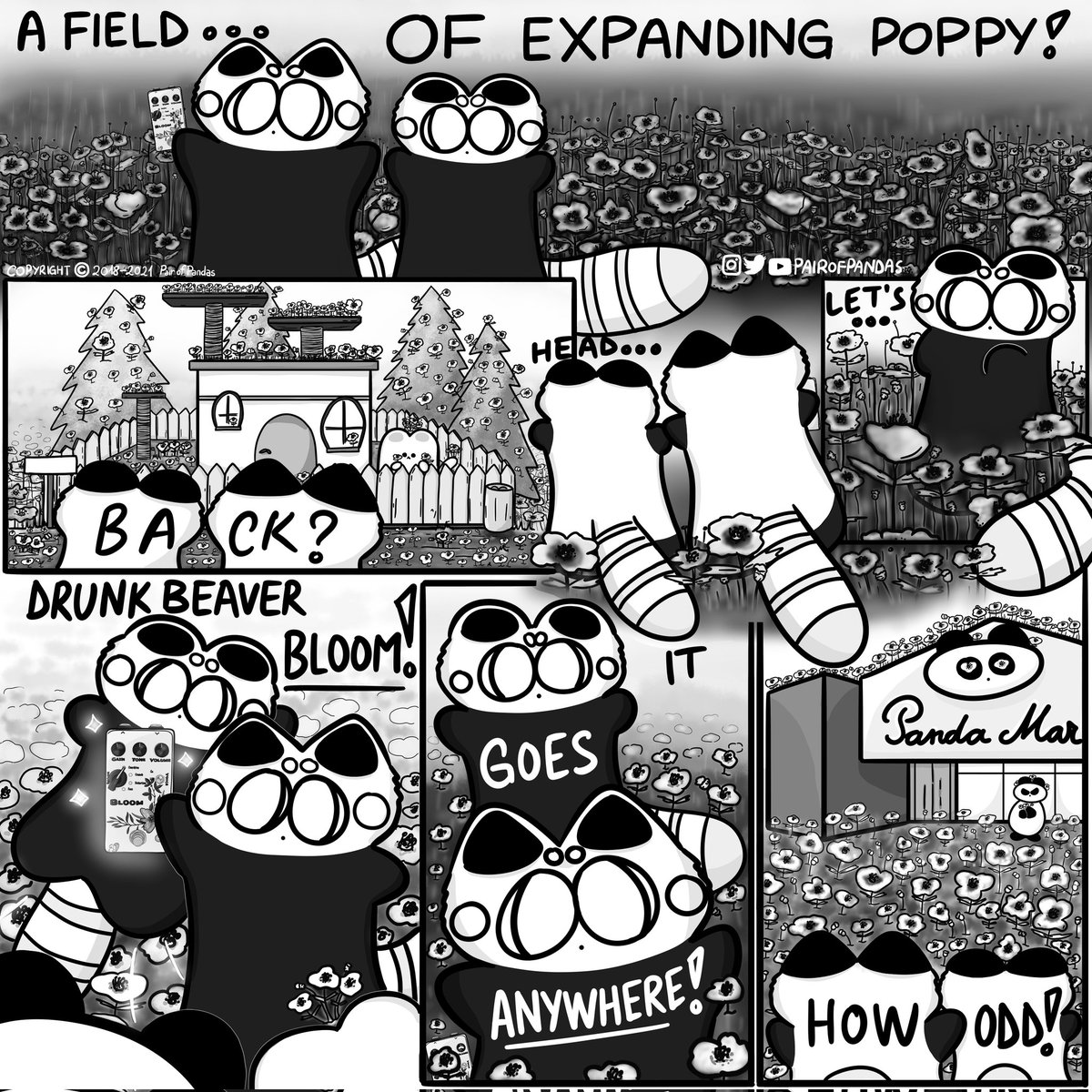 pairofpandas's tweet photo. Tribute to Drunk Beaver @DrunkBeaverPeds Bloom! 
✨🌹🐼🐼🌹✨

#drunkbeaver #bloompedal #expandorapedals #pairofpandas #webcomic #webcomics #webcomicseries #overdrivepedal #distortionpedal #fuzzpedal #knowyoutone #pedalbuilder #guitarpedal #guitarfx #expandora #papawer #poppies https://t.co/l0bwMHJ8Z5