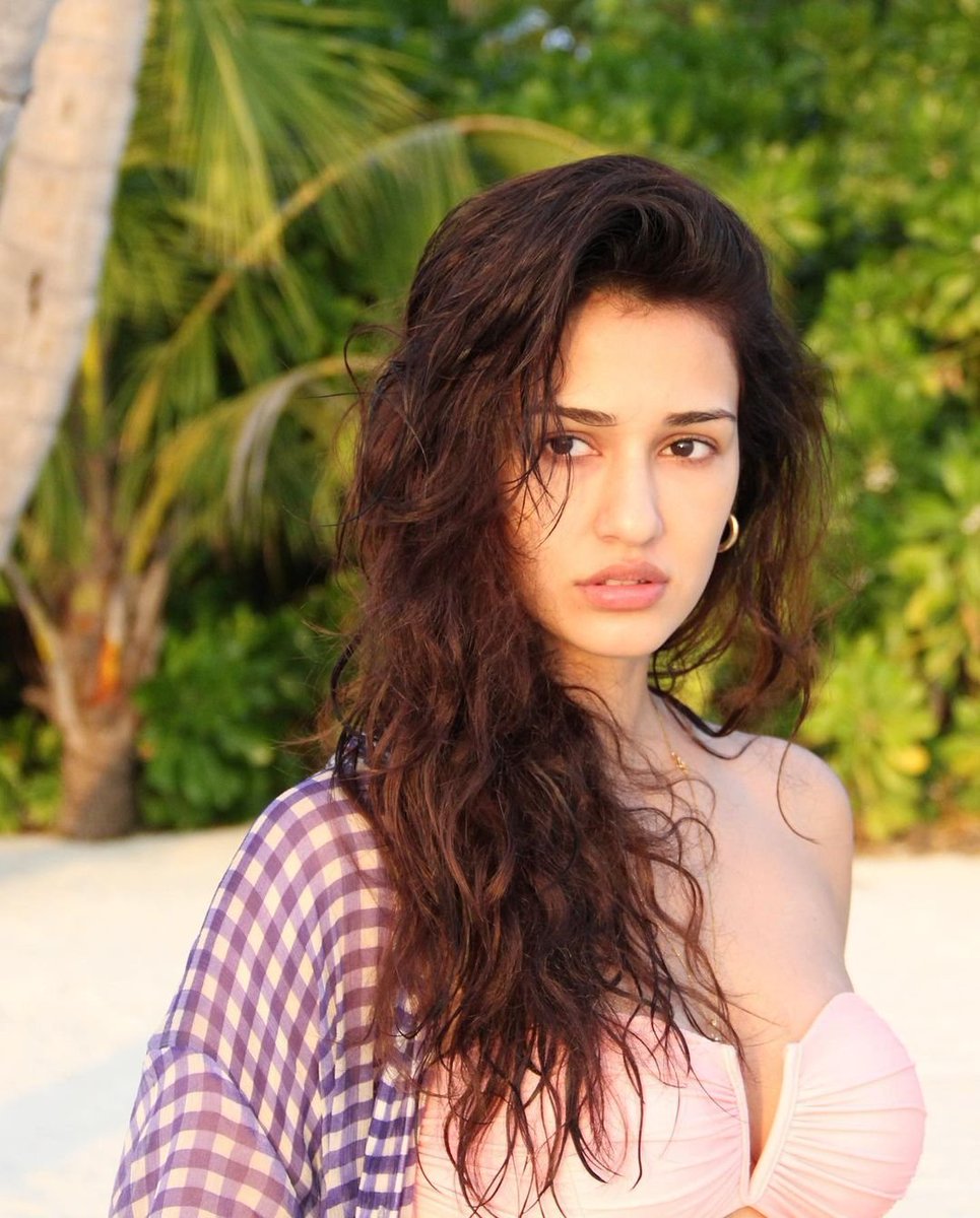 DishPatani's tweet photo. 🐰 https://t.co/RLh9hqIR0Z