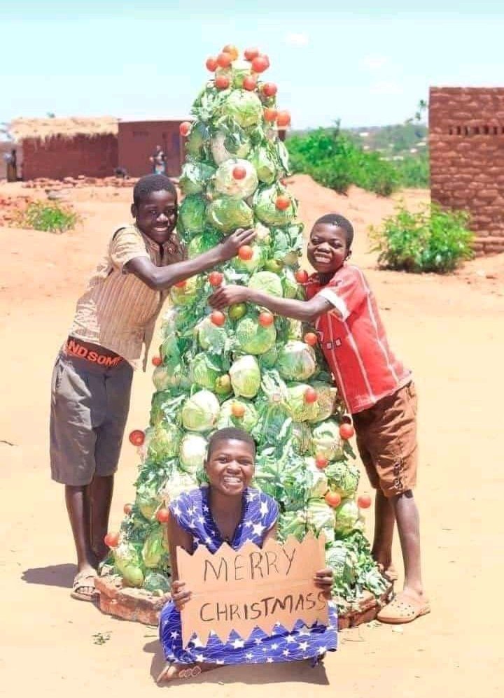PrincewillNgwa's tweet photo. Happiness is not a readymade something. It comes from your own actions.

Be happy. It is priceless😊😊 https://t.co/Wkk6bFnXtz