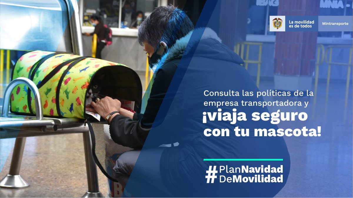 RUTADELSOLII's tweet photo. Si vas a viajar con tu mascota en esta navidad, recuerda comunicarte con la empresa transportadora antes, para conocer las políticas para su desplazamiento y utilizar los medios autorizados para garantizar la seguridad de tu mascota. #PlanNavidadDeMovilidad https://t.co/KAntQtrR6y